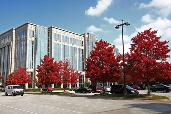 All About Gwinnett Place