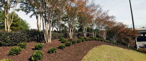 Gwinnett Place CID Beautification I-85